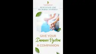 Rejuvenate and Recharge Yourself - Give your Immune System a companion