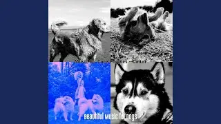 Exquisite Moods for Sleeping Dogs