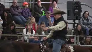 Positive discipline in horse training isn’t about forcing a horse—or letting them get away with