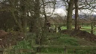 Sire des Islots - Bedale Hunt Race, March 2019