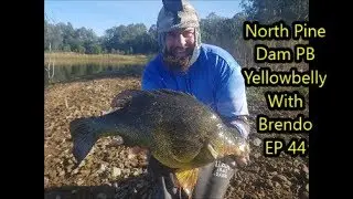 North Pine Dam PB Yellowbelly With Brendo EP 44