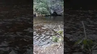 short nature clip
