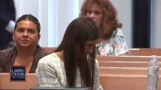 Tracy Ferriter takes classified evidence from husband Timothy Ferriter&rsquo;s trial, against court rules