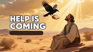 5 Signs God Is Sending You Help Right Now👇🏼👇🏼