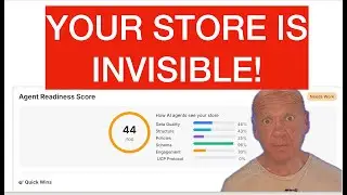 Is Your Store Invisible to AI? (The 