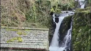 The Grot & Waterfall, Rydal Hall, Rydal,  Lake District, UK  3/12/2024