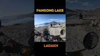 Bike Ride to Pangong Lake at 14000 feet #pangonglake #shorts