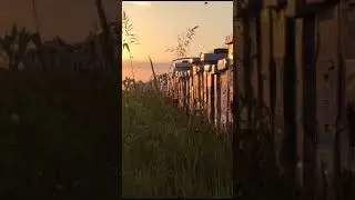 Rodna Voja na suncokretu 2023. godine