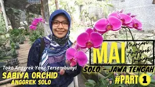 Toko Anggrek TERSEMBUNYI di SOLO..!!!! - SABIYA ORCHID / ANGGREK KINJILAN MAI SOLO SUKOHARJO #PART1