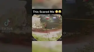 Ah!! Wtf!? | Apex Legends funny moments