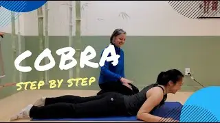 Cobra or Swan Prep - Exercise Breakdown
