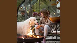 Fireside Pet Moments