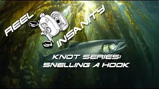 Snell knot
