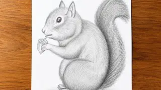 How To Draw A Squirrel Very Easy Step By Step |Easy Pencil Art