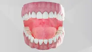FILLINGS