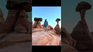 Toadstool Hoodoo