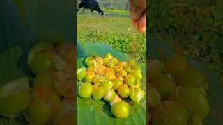 Kul #pickle #food #shorts #youtubeshorts #fruit
