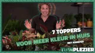 7 Toppers voor meer kleur in huis! 🌸🪴 | Tuinplezier