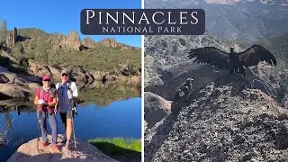 Pinnacles National Park // High Peaks Trail and Condors!