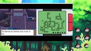 Pokemon salty pokemon ! La version ultime de pok&eacute;mon ?