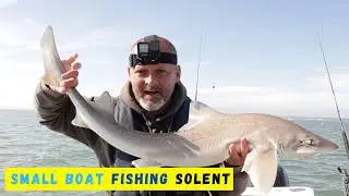 Small Boat Fishing - Smooth Hounds - Hill Head - Warrior 165