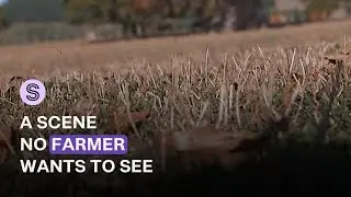 The driest years of today could be the average in the future | Stuff.co.nz