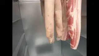 proQ woodsmoke
