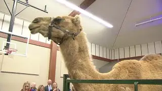 Worthington church brings in live animals for Christmas eve service