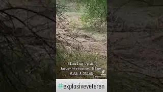Can You Believe This Soldier Cleared a Mine Field with Just a Stick?! #viral #military