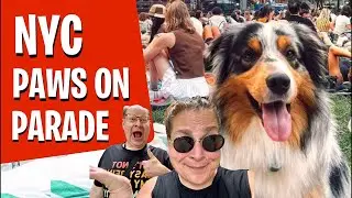 NYC Paws on Parade 🐶  Bryant Park #NYC #travel
