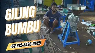 Mesin Giling dengan Bahan Laos Cocok untuk UMKM Bumbu, Catering, dan Rumah Makan