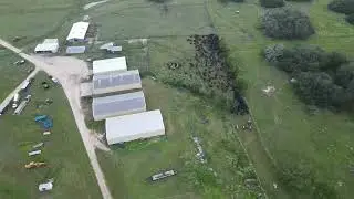 Spread Oaks Cattle September 2024