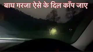 Scary Leopard Roar | Night Drive Jim Corbett National Park | Uttarakhand Tiger Terror #tigerattack
