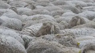 Ein Hauch von WINTER auf der Schwäbischen Alb - Schneefall am 17.11.2025