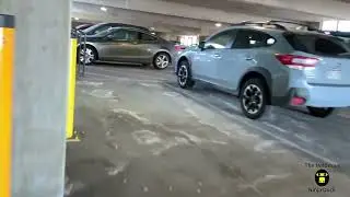 Target Shoes Vs Arvada
