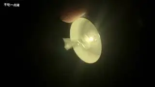 #asmr 无人声闪烁抓挠音