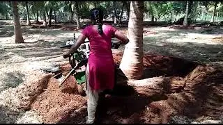 kirloskar mega T15 coconut bund making by women farmer.