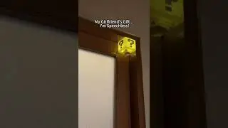 Mario Question Block Light: My Girlfriend's Unexpected Gift! (with a surprise sound!)