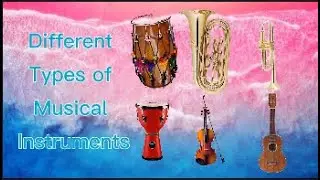 Different Types of Musical Instrument / Answer me / Ang Husay mo TV