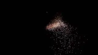 Weco Gold- & Silberregen (MiG) [HD]