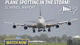 [4K] Challenging Storm Landings at Schiphol | Pilots vs Extreme Winds 💨
