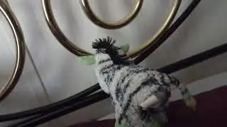 The Friendship of a lion and a zebra episode 7 x Marks the snack#comedy #for kids