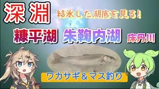 結氷した神秘の湖底を見る(糠平湖、朱鞠内湖)