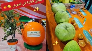 جولة في معرض الحوامض وبعض مشترياتي الطبيعية 😍Mini Vlog 