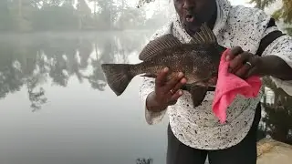 FISH N DAT BEST FISHING VIDEOS OF 2024