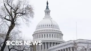 House committee holds hearing on Minnesota fraud | full video