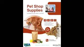 Paws & Claws DHA Karachi  #cat #petcenter #petfood #petshop #dogfood #pakistan #wetdogfood  #kitten