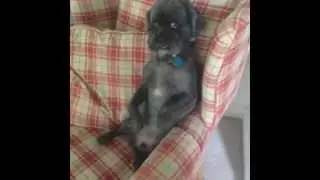 Vine Compilation - November 2013 - Week 4
