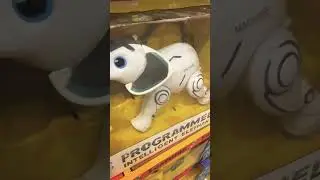 #kids #cute #programmed #intelligent #elephant #machine #coco #shorts #subscribe