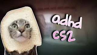 funny counter strike moments
